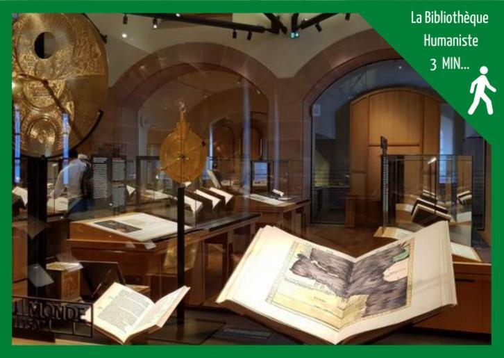 Aux Plaisirs D'Alsace Centre Historique Apartment Sélestat Екстериор снимка