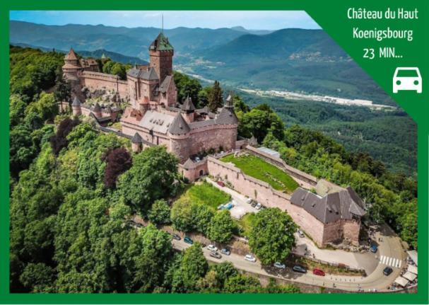 Aux Plaisirs D'Alsace Centre Historique Apartment Sélestat Екстериор снимка